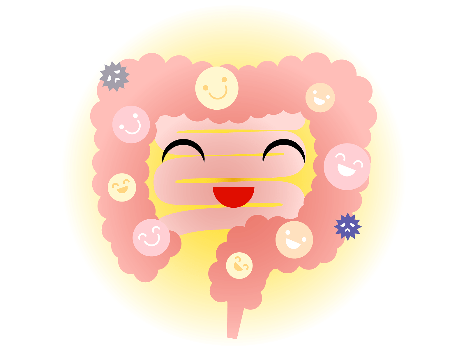 腸を整えると心も身体も整う！腸をキレイにすることから始めてみませんか？