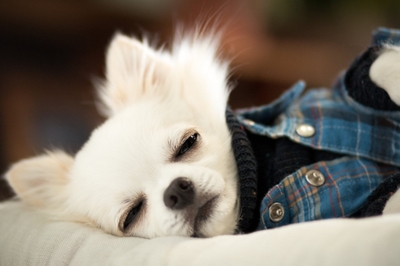 xIvCGjLrdkbe4EJ8d8JU.jpeg?w=940&h=940