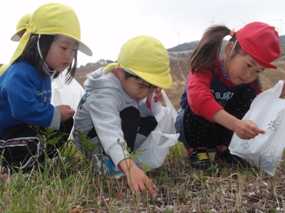 xLIwsqN7VD8BZKtrzbUs.jpg?w=940&h=940