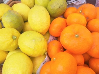 xMff8Dpu3ZPyhPPMWImA.jpg?w=940&h=940