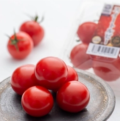 フレスタプライベートブランドBimiSmile 「スイートルビートマト」2025年度初出荷について