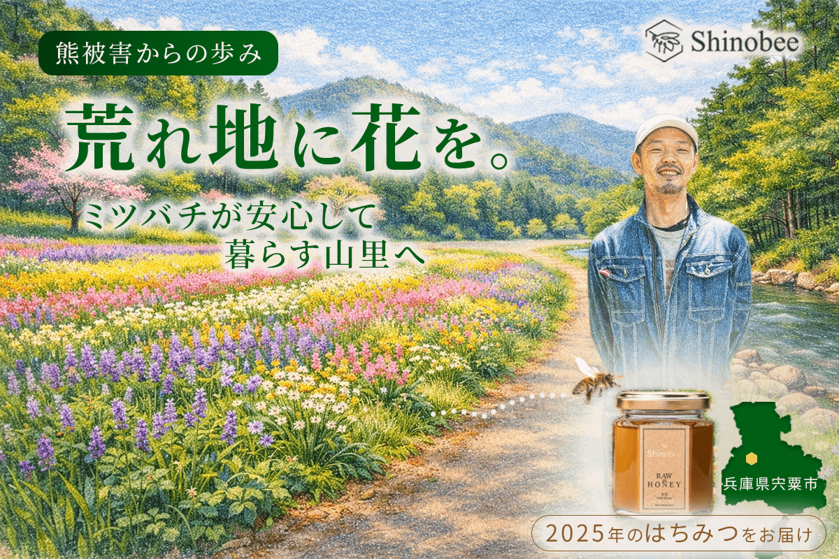 熊被害からの復旧の先へ―― 兵庫県宍粟市の養蜂家が耕作放棄地に花を