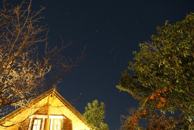 xNxNQSduEgyZd9CKO3c4.jpeg?w=940&h=940