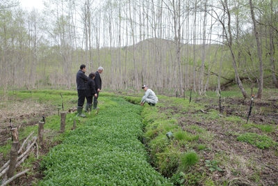 xOQ9jRGGP2eqok1Fqouo.JPG?w=940&h=940