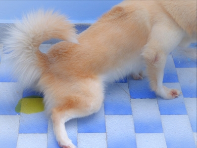 xRIXik4o3Dhv2Pavhk0i.jpeg?w=940&h=940