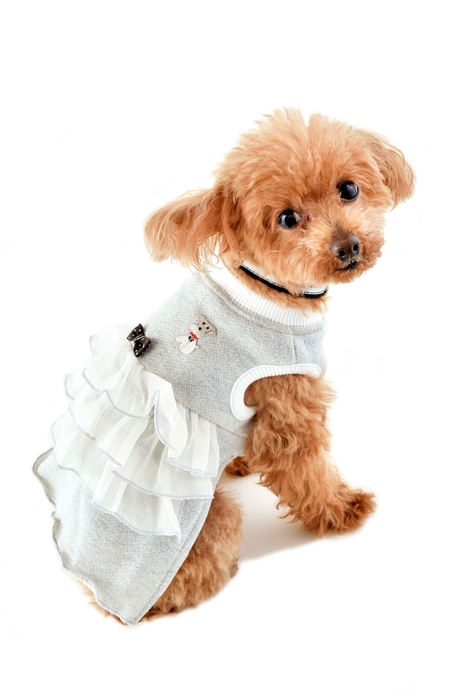 ペットショップジョーカー_ウォームハート