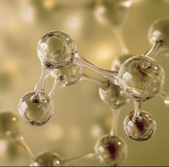 フィトキューティクル