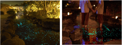 xSzh5D64jmXozHKoFwIJ.png?w=940&h=940