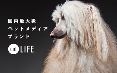 xT4fpMCcjOROdBSLpdfu.jpg?w=940&h=940