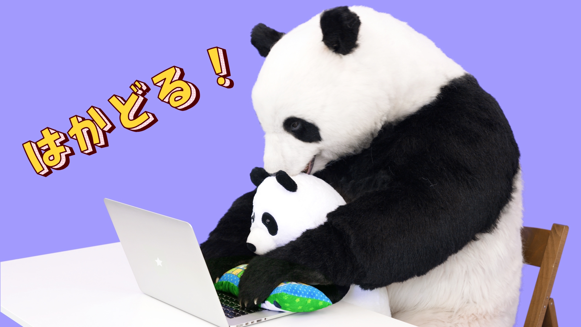 PCクッション 星星(セイセイ)