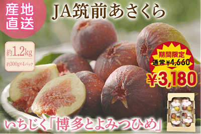 xTqEDnJ2GEpuDrnNhXoe.png?w=940&h=940