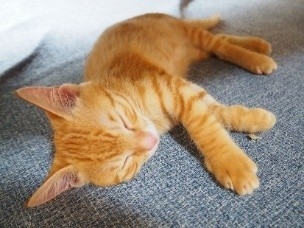 xUFWOTrwz6aqv2HwuU3N.jpg?w=940&h=940