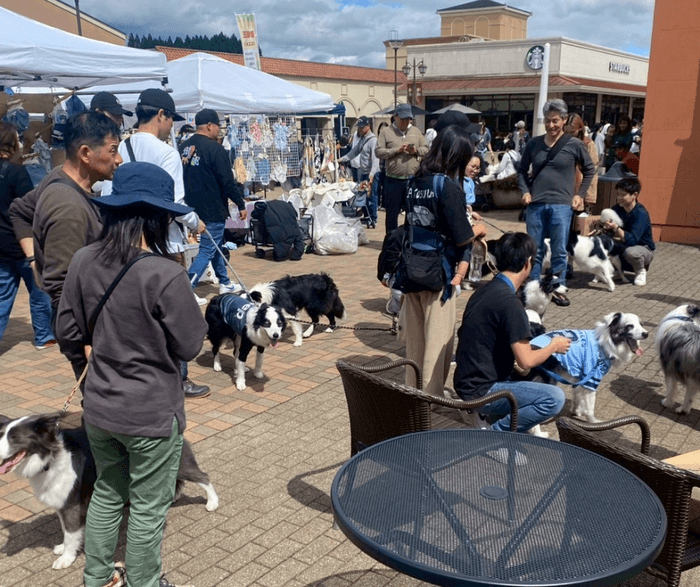 たくさんのわんちゃんが集合しました