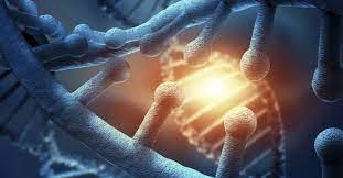 xVgemIXAbnGojLH64IUz.jpg?w=940&h=940