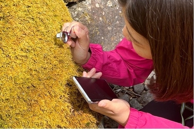 xW0XotwMlpatpVAoZhlo.jpg?w=940&h=940