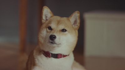 xXo12GgCLMZ5MtJzsErb.jpg?w=940&h=940