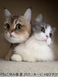 「ねこ休み展」10周年記念・夏の本祭が8/22～開催！ オール新作の展示作品や新たなスター猫が集結♪