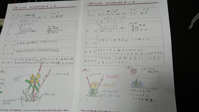 xYEVUHHlGUEjRO6FEaE4.jpg?w=940&h=940