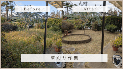 xYSga4kvqwSxU0BWjudH.png?w=940&h=940