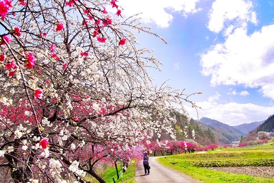 xYnOUfwgjyOFLrJRgu4i.jpg?w=940&h=940