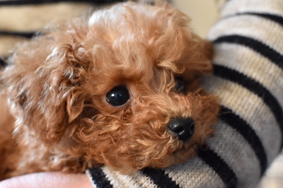 xYwvx32Zh1ZcrK12WkfE.jpeg?w=940&h=940