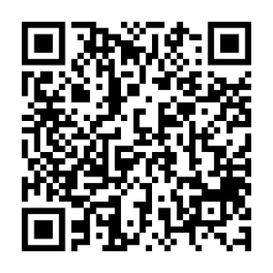 xZlK9AQlwHHyBo2vxXs9.png?w=940&h=940