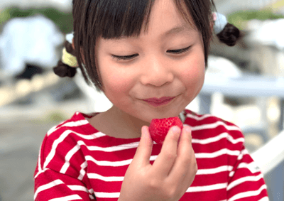 xZwByvHUuPlCE6siE7EC.png?w=940&h=940