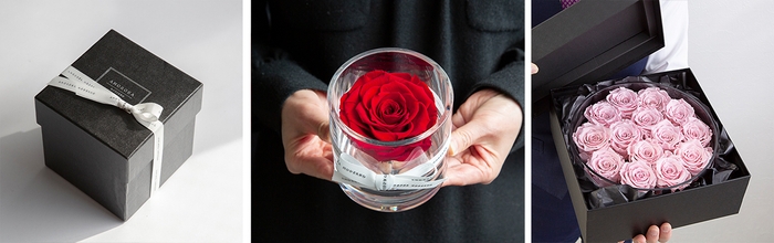 3サイズ・各8色