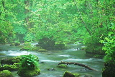 xdRCQVLAJqx9KDFRygzA.jpg?w=940&h=940