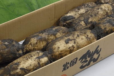 xePSwVADsJJRBVP3I7ER.png?w=940&h=940