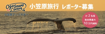 xeYQ851tqMUSXdexpahu.jpg?w=940&h=940