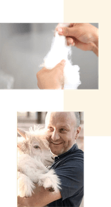 xfNWcRY6Z7AbrFHsZ9Lb.png?w=940&h=940