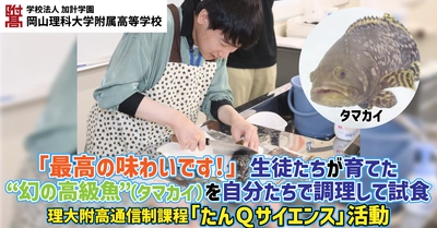 「最高の味わいです！」 生徒たちが育てた“幻の高級魚”（タマカイ）を自分たちで調理して試食／理大附高通信制課程「たんＱサイエンス」活動