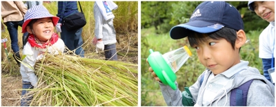 xhBbzH41OvPi9SPls5mu.jpg?w=940&h=940