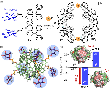 図2(a)D-グルコースを導入した配位子と白金イオンからのらせん型カプセル1Dの形成 (b)カプセル1Dの立体構造(単糖部位を強調) (c)配位子とカプセルのCDバンドの強度比較