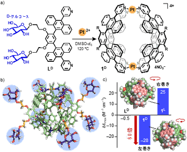 図2（a）D-グルコースを導入した配位子と白金イオンからのらせん型カプセル1Dの形成　（b）カプセル1Dの立体構造（単糖部位を強調）　（c）配位子とカプセルのCDバンドの強度比較