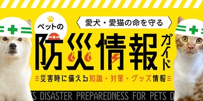 xhXjCygJFIuoIJCXaMse.jpg?w=940&h=940