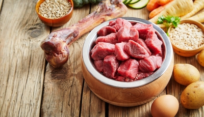 xi1KvKzrMazuGpeYH8xQ.jpeg?w=940&h=940