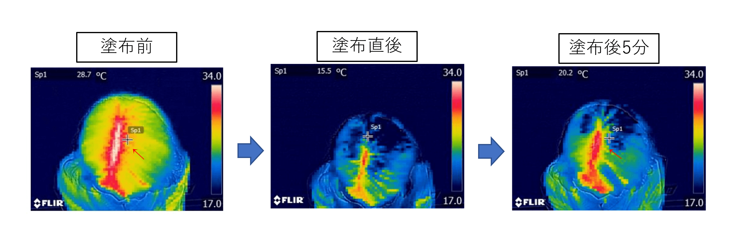 図4:冷却育毛剤により、毛髪・頭皮の温度低下の継続を確認