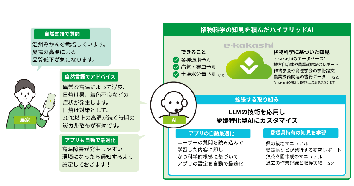 LLMを搭載した愛媛特化型AIのイメージ