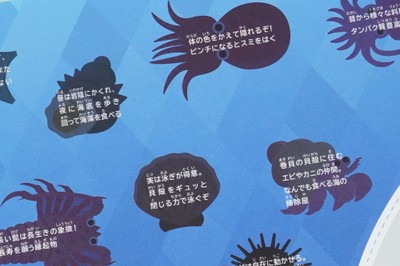 xkXiNlx3UiqQyHlC4G6L.jpg?w=940&h=940