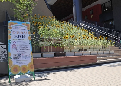 xksIMXPEfcuKyYKUjSdQ.jpg?w=940&h=940