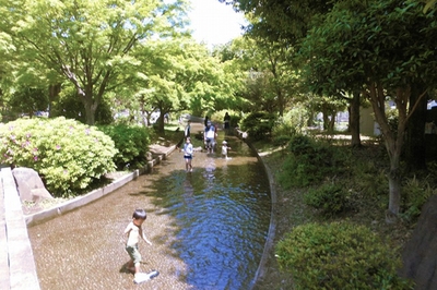 東大和南公園 流れ　