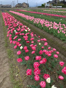 xl3INdjAkA6nLQnwkWH5.jpg?w=940&h=940