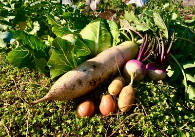 xl79YKtPRmSUPvEVfeNJ.jpg?w=940&h=940