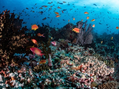 xlOff0RATuGqQCIGtaoZ.jpg?w=940&h=940