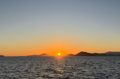 xlyxRw4yq5PXllwsYPi2.jpg?w=940&h=940