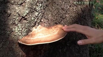 xmJ8bogUFHg54QK3ZE2D.jpg?w=940&h=940