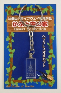 xmhcdpHuBK4Aw89QNYUW.jpg?w=940&h=940