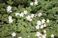 xpCLYRK6uufMcjWlgEI9.jpg?w=940&h=940